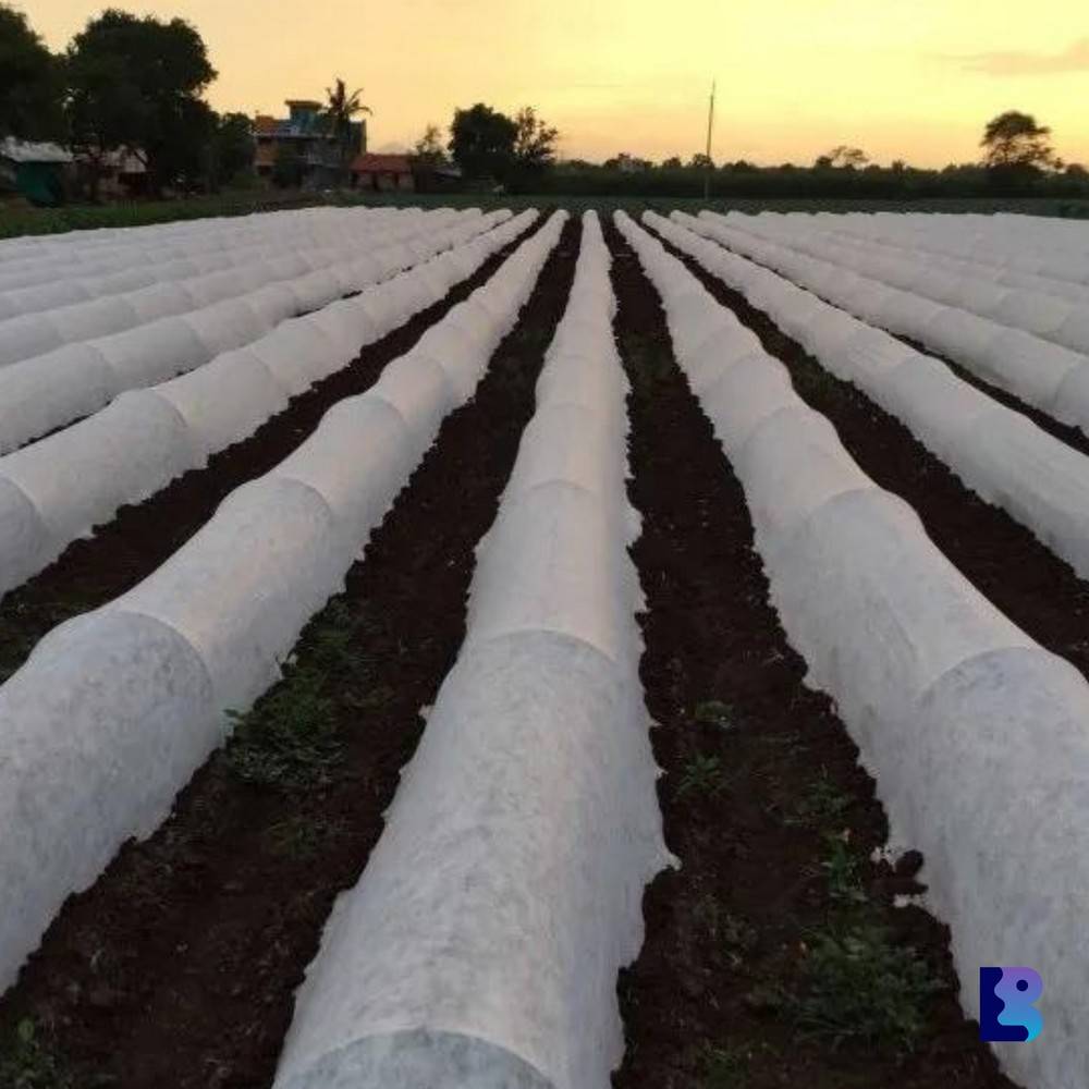 Non Woven Crop Cover