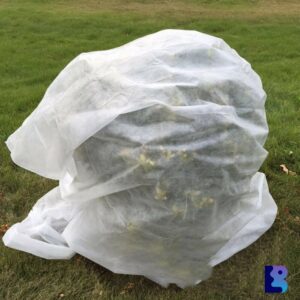 Non Woven Plant Cover