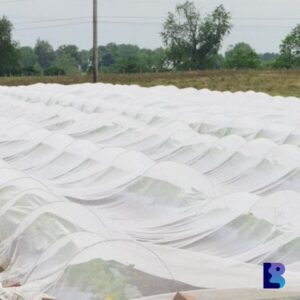 Non Woven UV Treated Ground Cover